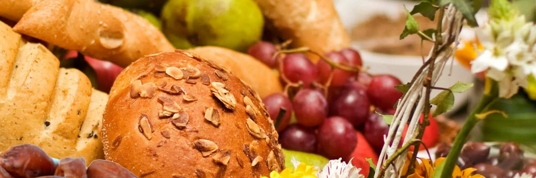 Alimentation